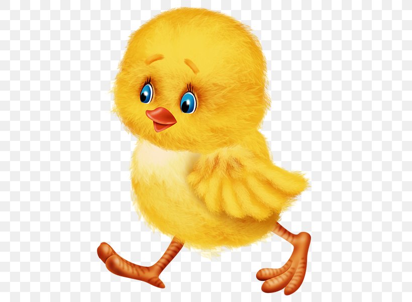 Easter Bunny Duck Chicken Kifaranga, PNG, 600x600px, Easter, Beak, Bird, Chicken, Color Download Free