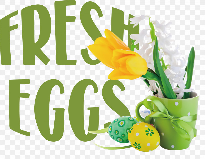 Fresh Eggs, PNG, 3000x2322px, Fresh Eggs, Biology, Flower, Fruit, Meter Download Free