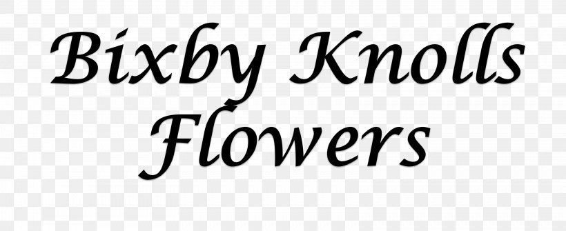 Newburyport McAllen Baldwinsville Floristry Teleflora, PNG, 3239x1325px, Newburyport, Area, Baldwinsville, Black, Black And White Download Free