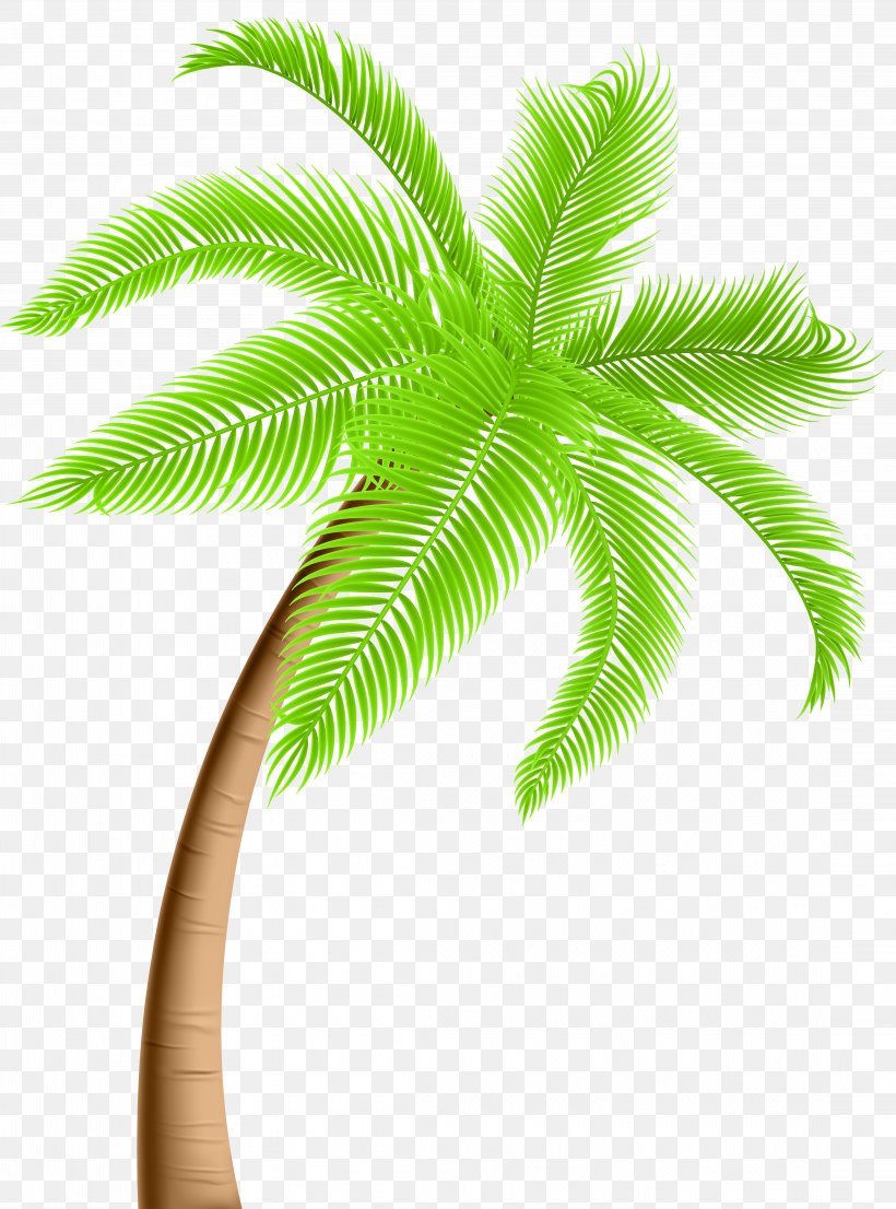 Arecaceae Tree Clip Art, PNG, 4446x6000px, Arecaceae, Arecales, Coconut, Date Palm, Flowerpot Download Free