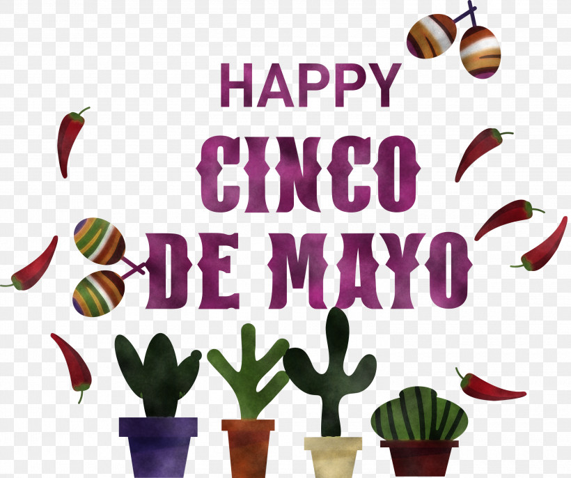 Cinco De Mayo Fifth Of May Mexico, PNG, 3000x2511px, Cinco De Mayo, Biology, Fifth Of May, Flower, Meter Download Free