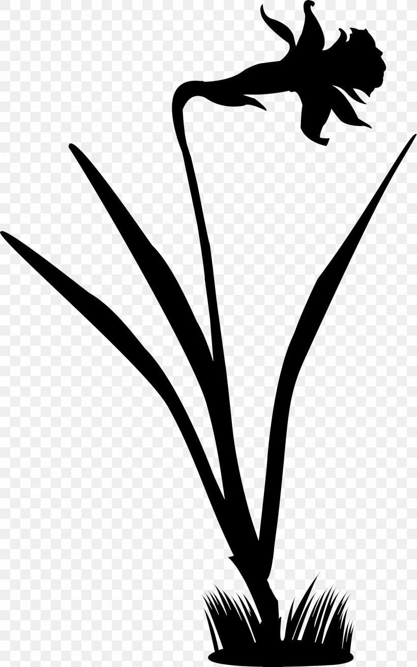 Clip Art Silhouette Line Art Flower Plant Stem, PNG, 1960x3136px, Silhouette, Art, Black M, Blackandwhite, Botany Download Free