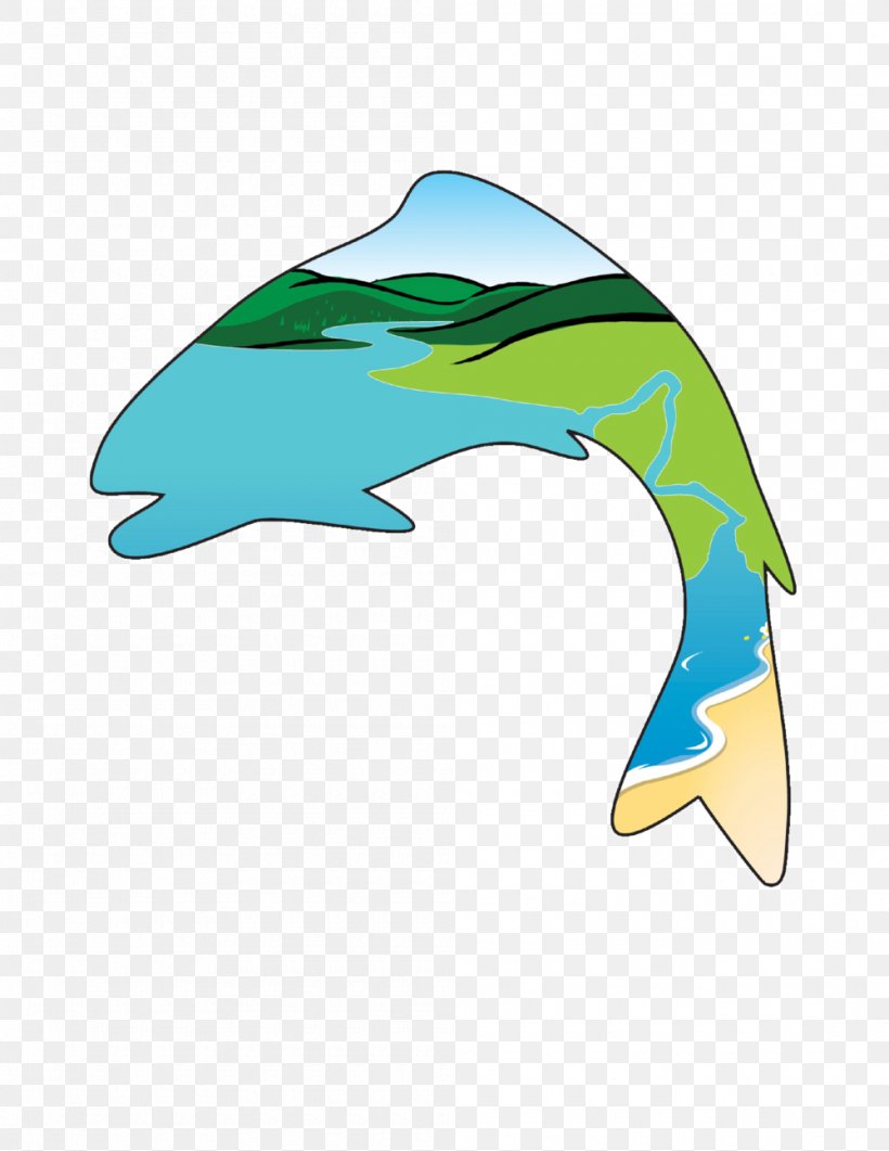 Common Bottlenose Dolphin Central Coast Salmon Enhancement LinkedIn Clip Art, PNG, 1000x1294px, Common Bottlenose Dolphin, Bottlenose Dolphin, Central Coast Salmon Enhancement, Dolphin, Fin Download Free