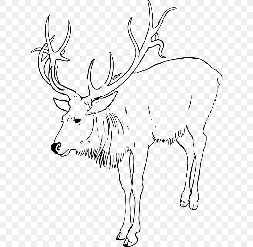 Reindeer Rudolph Drawing Clip Art, PNG, 622x800px, Reindeer, Animal, Animal Figure, Antler, Black And White Download Free