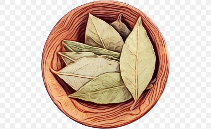 Tree Leaf, PNG, 500x502px, Leaf, Bay Leaf, Commodity, Herb, Plant Download Free