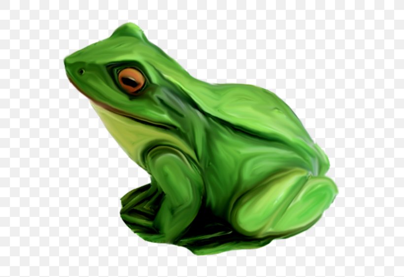 True Frog Tree Frog Toad Green, PNG, 699x562px, True Frog, Amphibian, Figurine, Frog, Green Download Free