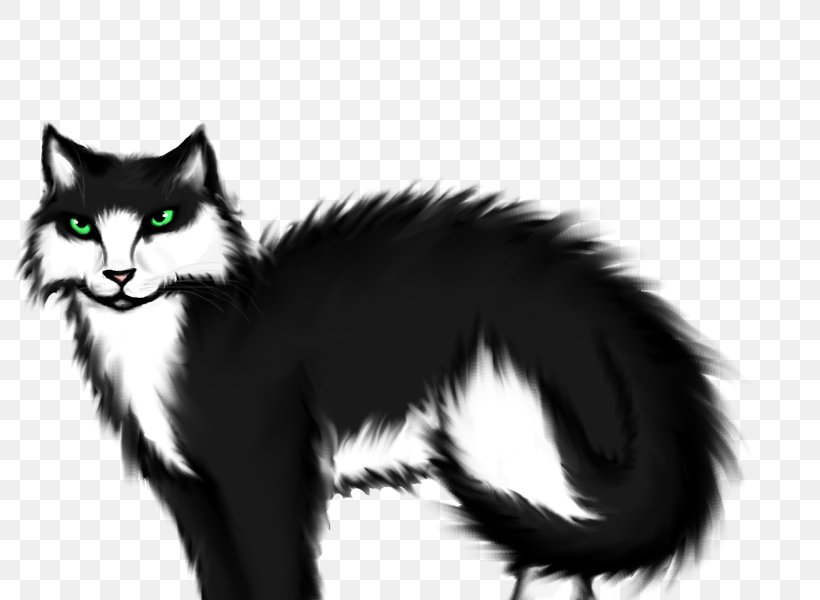 Whiskers Norwegian Forest Cat Kitten Domestic Short-haired Cat Black Cat, PNG, 800x600px, Whiskers, Black And White, Black Cat, Carnivoran, Cat Download Free
