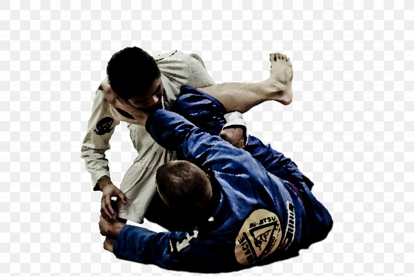 Brazilian Jiu-jitsu Jujutsu Judo Gracie Family Martial Arts, PNG, 3751x2501px, Brazilian Jiujitsu, Aggression, Aikido, Gracie Barra, Gracie Family Download Free