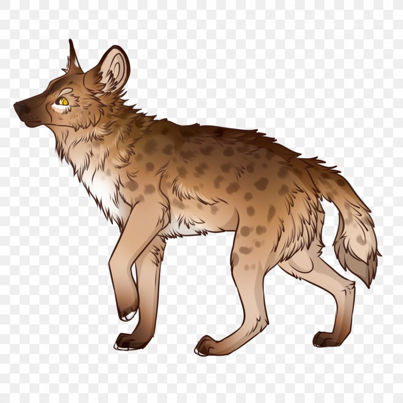 Cat Coyote Red Fox Jackal Red Wolf, PNG, 1500x1500px, Cat, Animal, Carnivoran, Cat Like Mammal, Coyote Download Free