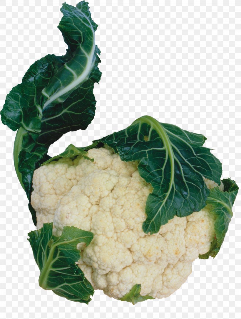 Cauliflower Vegetarian Cuisine Red Cabbage Vegetable Spring Greens, PNG, 3552x4690px, Cauliflower, Brassica Oleracea, Cruciferous Vegetables, Dietary Fiber, Food Download Free