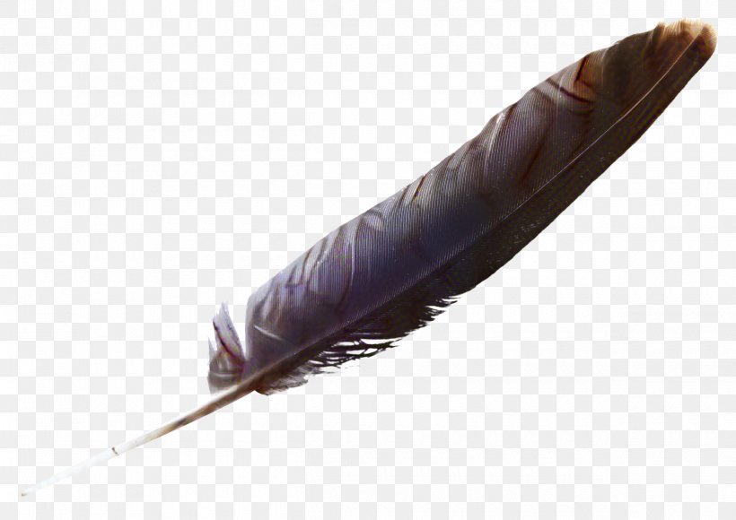 Writing Cartoon, PNG, 2420x1713px, Feather, Brown, Natural Material, Pen, Quill Download Free