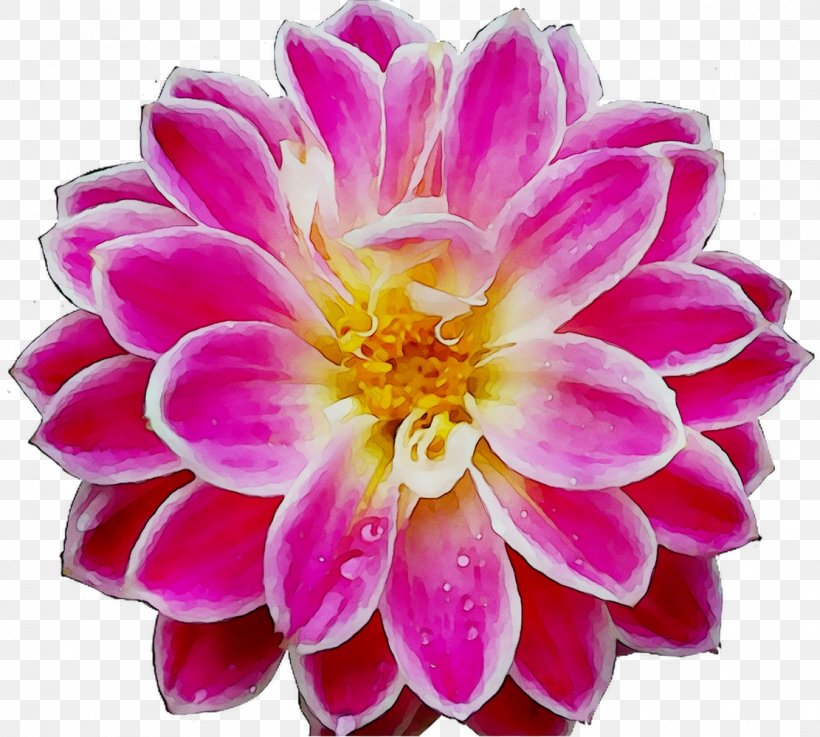 Corinth PeekYou Dahlia Chrysanthemum Floristry, PNG, 1111x999px, Corinth, Annual Plant, Artificial Flower, Aster, Chrysanthemum Download Free