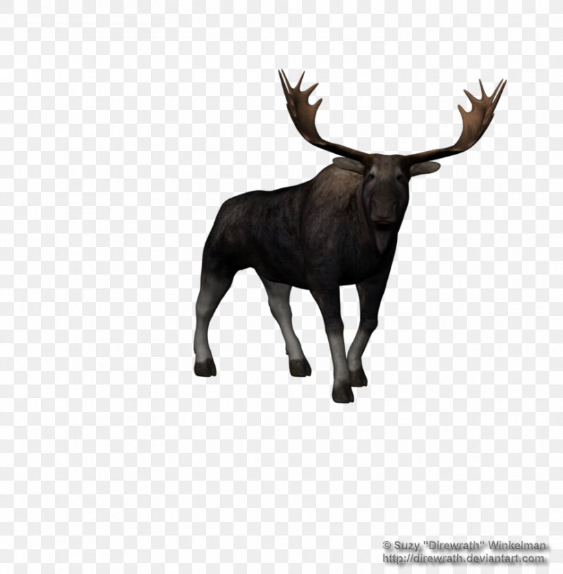 Moose Reindeer, PNG, 885x903px, 3d Computer Graphics, 3d Rendering, Moose, Antler, Bull Download Free