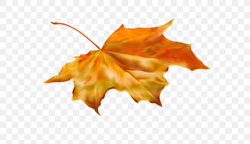 Autumn Leaves Blog Diary, PNG, 600x473px, Autumn, Accroche, Autumn Leaves, Blog, Daytime Download Free
