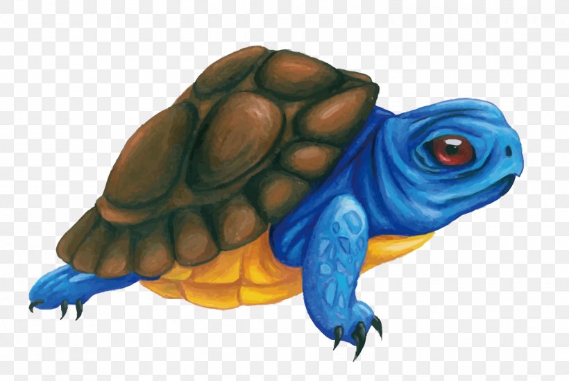 Box Turtle Tortoise Illustration, PNG, 1500x1005px, Box Turtle, Artworks, Blue, Emydidae, Fan Art Download Free