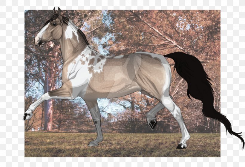 Mare Mustang Stallion Rein Halter, PNG, 1024x696px, Mare, Bridle, Fauna, Halter, Horse Download Free