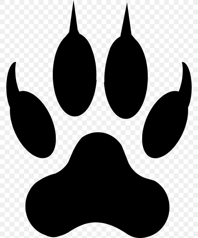 Tiger Paw, PNG, 768x987px, Lion, Animal, Animal Track, Blackandwhite, Cat Download Free