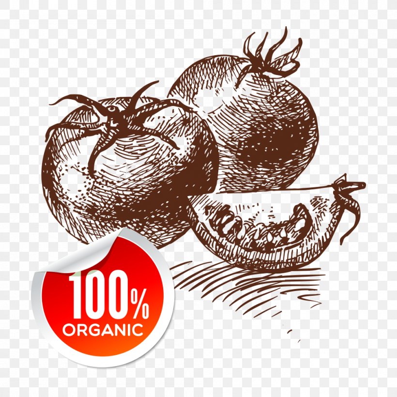 Tomato Vegetarian Cuisine Vegetable Drawing, PNG, 1000x1000px, Tomato, Brand, Chocolate, Cup, Drawing Download Free