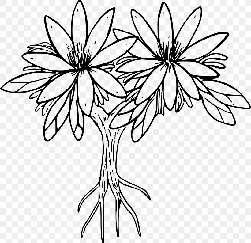 Bitterroot Lewisia Cotyledon Coloring Book Clip Art, PNG, 2400x2323px, Bitterroot, Artwork, Black And White, Branch, Coloring Book Download Free