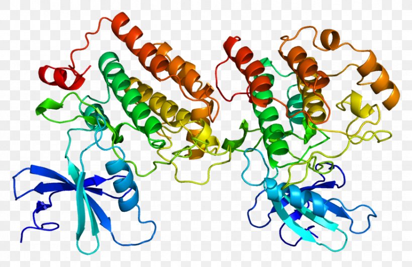 Casein Kinase 1 K-Casein Protein CSNK1D, PNG, 871x566px, Watercolor, Cartoon, Flower, Frame, Heart Download Free