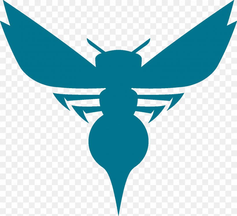Charlotte Hornets New Orleans Pelicans NBA Chicago Bulls Basketball, PNG, 1572x1433px, Charlotte Hornets, Basketball, Butterfly, Chicago Bulls, Expansion Team Download Free