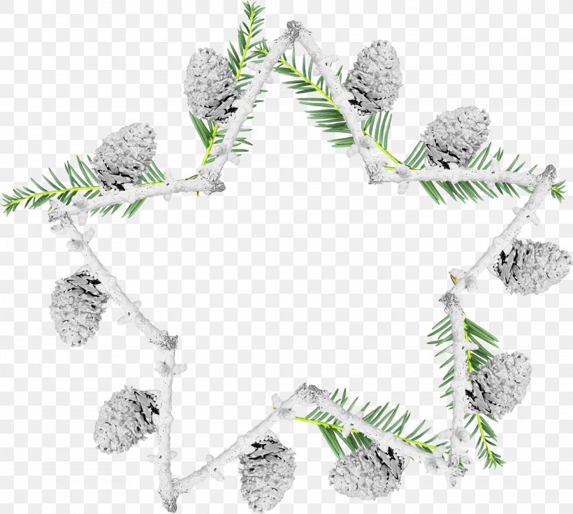 Fir Picture Frames Snow Pine Christmas Ornament, PNG, 2230x2000px, Watercolor, Cartoon, Flower, Frame, Heart Download Free