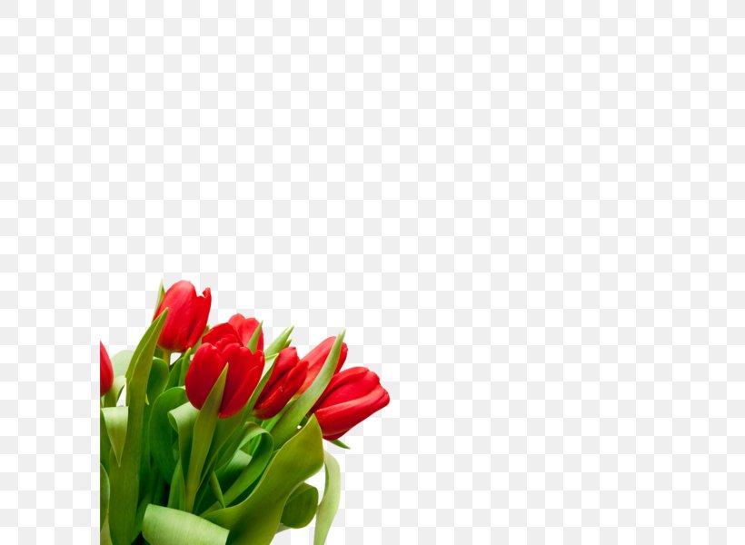 Flower Bouquet Tulip Desktop Wallpaper Cut Flowers, PNG, 600x600px, Flower Bouquet, Cut Flowers, Floral Design, Floristry, Flower Download Free