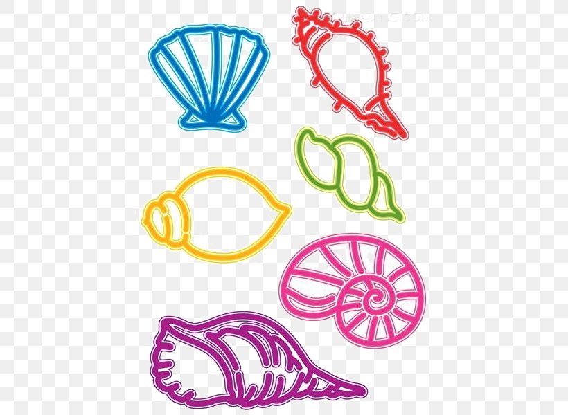 Seashell Cartoon Clip Art, PNG, 429x600px, Seashell, Cartoon, Conch, Exoskeleton, Molluscs Download Free