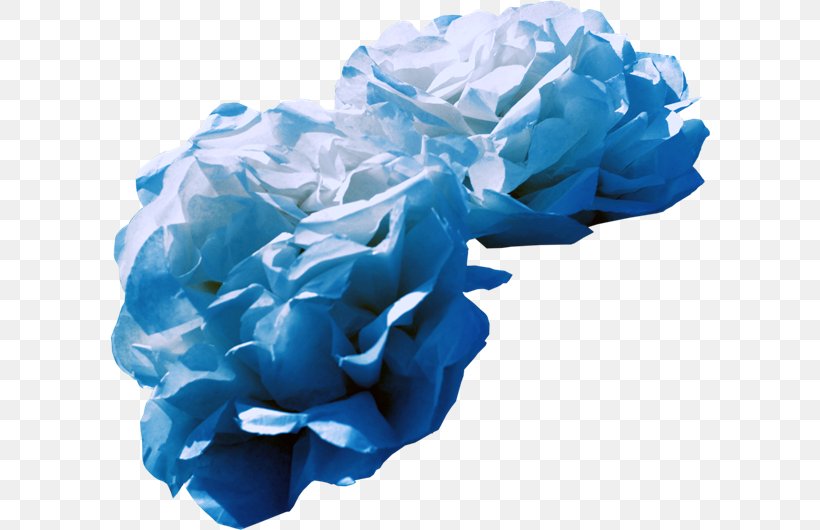 Blue Rose Garden Roses Cut Flowers Cabbage Rose, PNG, 600x530px, Blue Rose, Aqua, Blue, Cabbage Rose, Cut Flowers Download Free