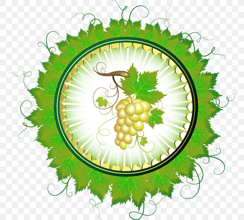 Common Grape Vine Juice Drawing, PNG, 761x740px, Common Grape Vine, Drawing, Flower, Flowering Plant, Food Download Free