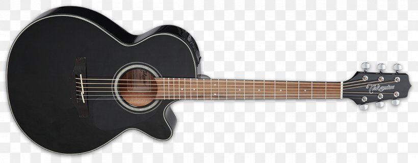 ESP LTD EC-1000 Takamine Guitars Acoustic-electric Guitar Steel-string Acoustic Guitar, PNG, 1200x469px, Watercolor, Cartoon, Flower, Frame, Heart Download Free