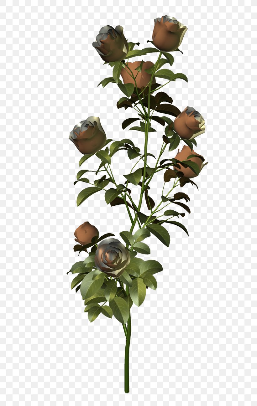 Garden Roses Cut Flowers Plant Stem, PNG, 600x1297px, Garden Roses, Branch, Christmas, Cut Flowers, Floral Design Download Free