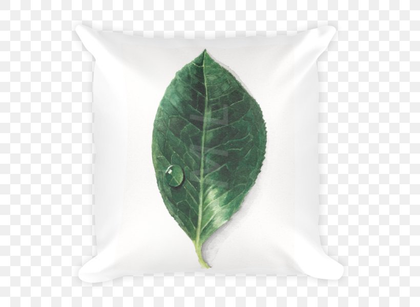 Leaf, PNG, 600x600px, Leaf, Green, Plant Download Free