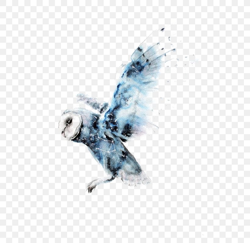 Owl Watercolor Painting Harry Potter Art Drawing, PNG, 564x797px, Owl, Art, Barn Owl, Beak, Bird Download Free