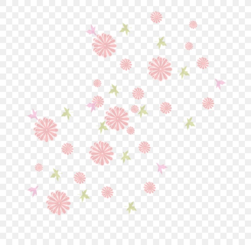 Petal Line Point Pattern, PNG, 800x800px, Petal, Floral Design, Flower, Flowering Plant, Peach Download Free