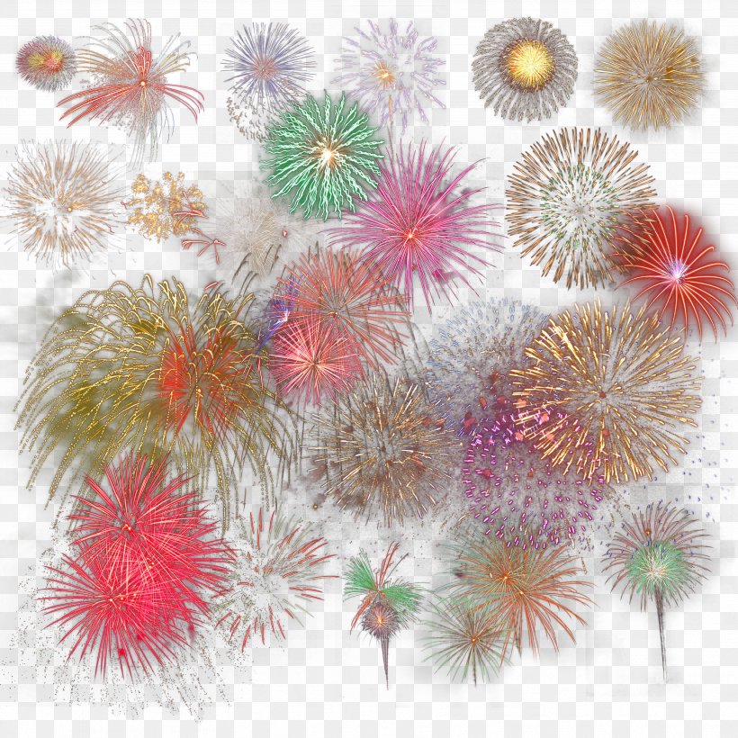 Fireworks New Year, PNG, 3543x3543px, Fireworks, Fire, Flower, New Year, Organism Download Free