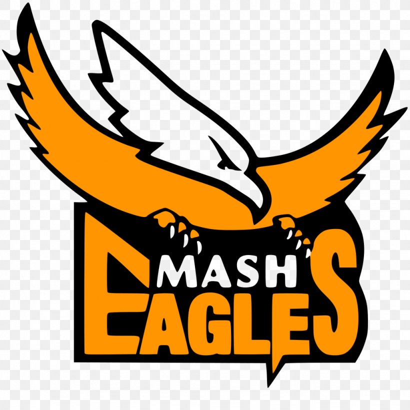 Harare Sports Club Mashonaland Eagles Mid West Rhinos Zimbabwe National Cricket Team Philadelphia Eagles, PNG, 1024x1024px, Harare Sports Club, Area, Artwork, Beak, Bird Download Free