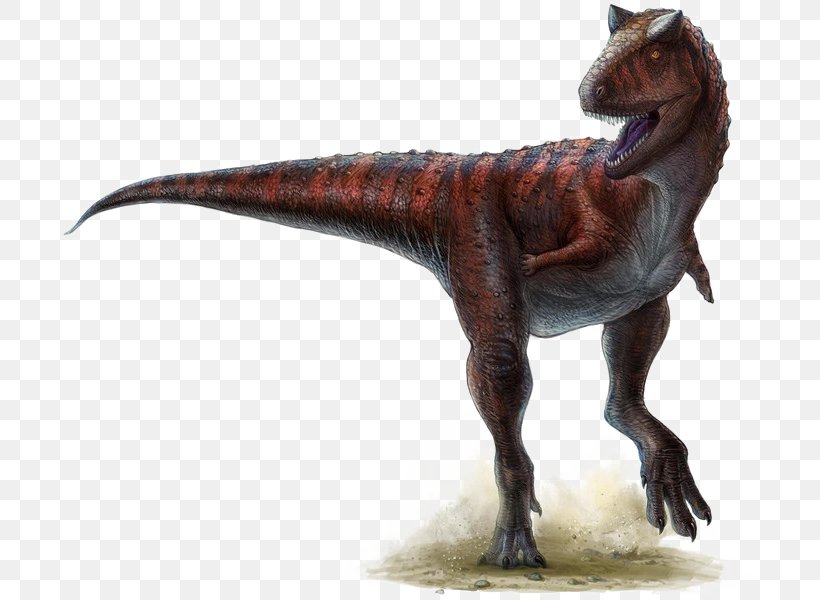 Carnotaurus Ceratosaurus Triceratops Horned Dinosaurs, PNG, 703x600px, Carnotaurus, Animal Figure, Armour, Carnivore, Ceratosauria Download Free