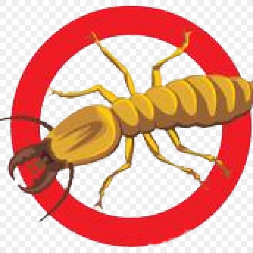 Cockroach Pest Control Clip Art, PNG, 1024x1024px, Cockroach, Ant, Artwork, Bed Bug, Exterminator Download Free