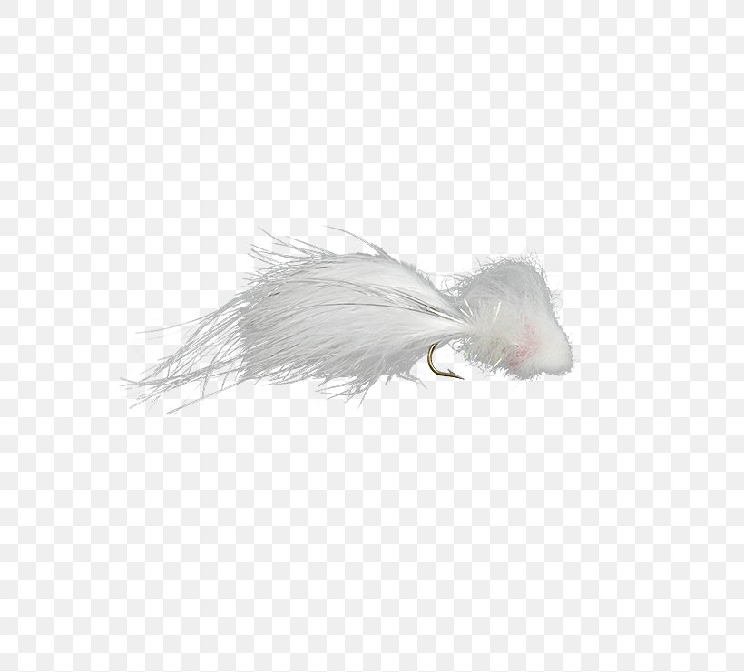 Whiskers Fur Snout Feather Tail, PNG, 555x741px, Whiskers, Carnivoran, Feather, Fur, Mammal Download Free