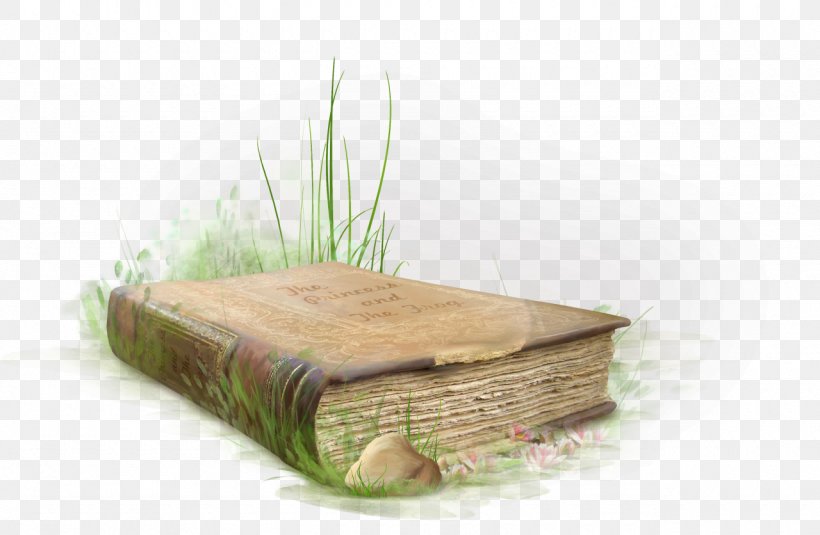 Book Drawing Clip Art, PNG, 1280x836px, Book, Drawing, Furniture, Grass, Grass Family Download Free