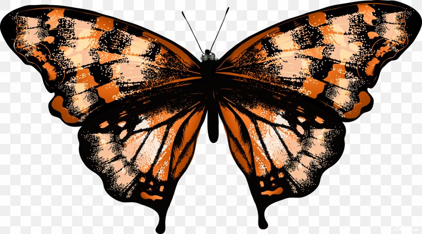 Butterfly Drawing, PNG, 1800x1000px, Butterfly, Art, Arthropod, Brush Footed Butterfly, Depositphotos Download Free