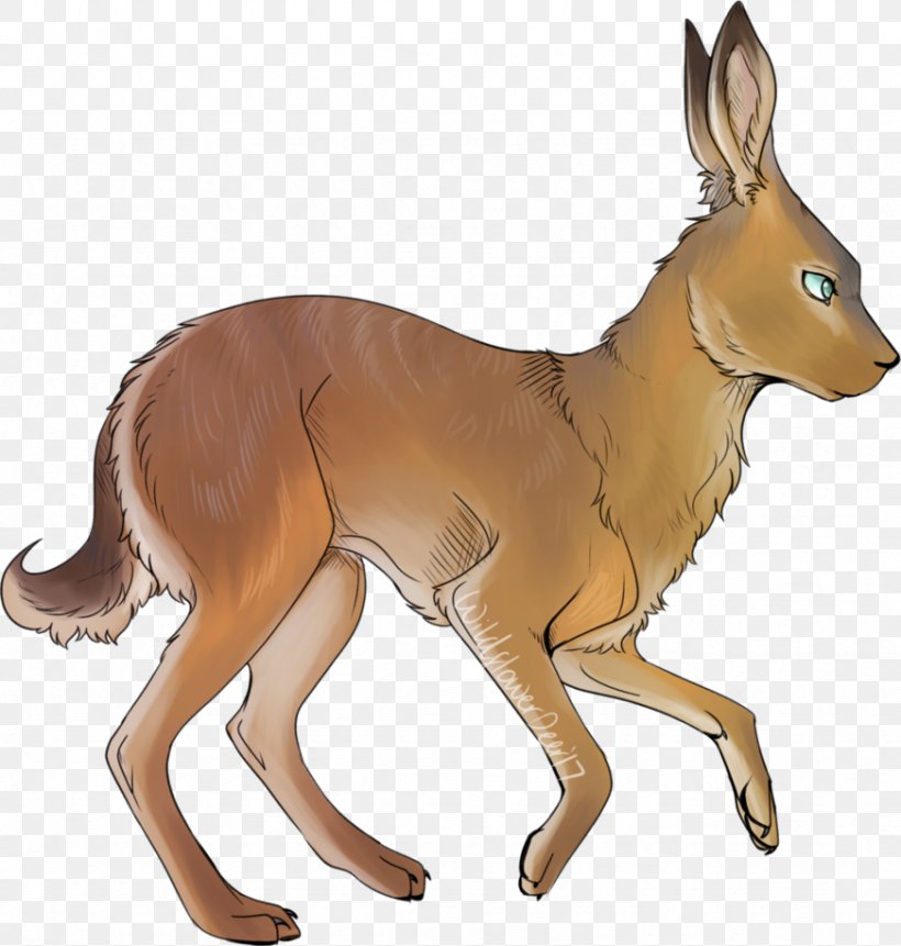 Canidae Hare Horse Deer Kangaroo, PNG, 872x916px, Canidae, Animal, Animal Figure, Carnivoran, Deer Download Free