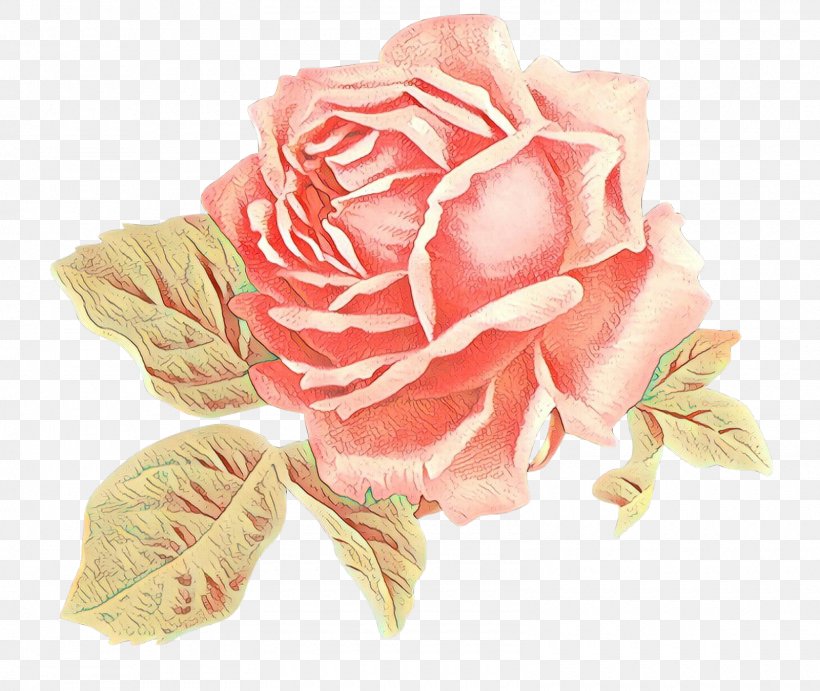 Garden Roses, PNG, 1600x1350px, Cartoon, Cut Flowers, Flower, Garden Roses, Petal Download Free
