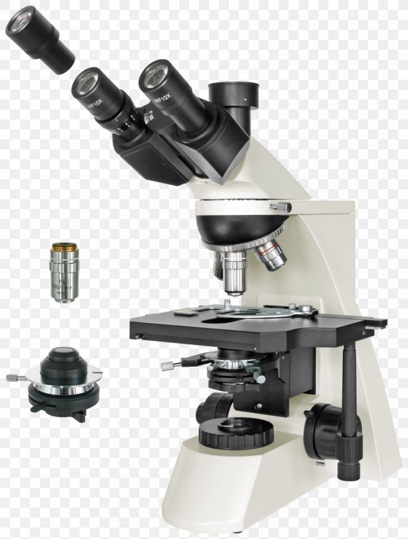 Optical Microscope Science Biology Bresser, PNG, 908x1200px, Microscope, Acoustic Microscopy, Angular Resolution, Atomic Force Microscopy, Biology Download Free