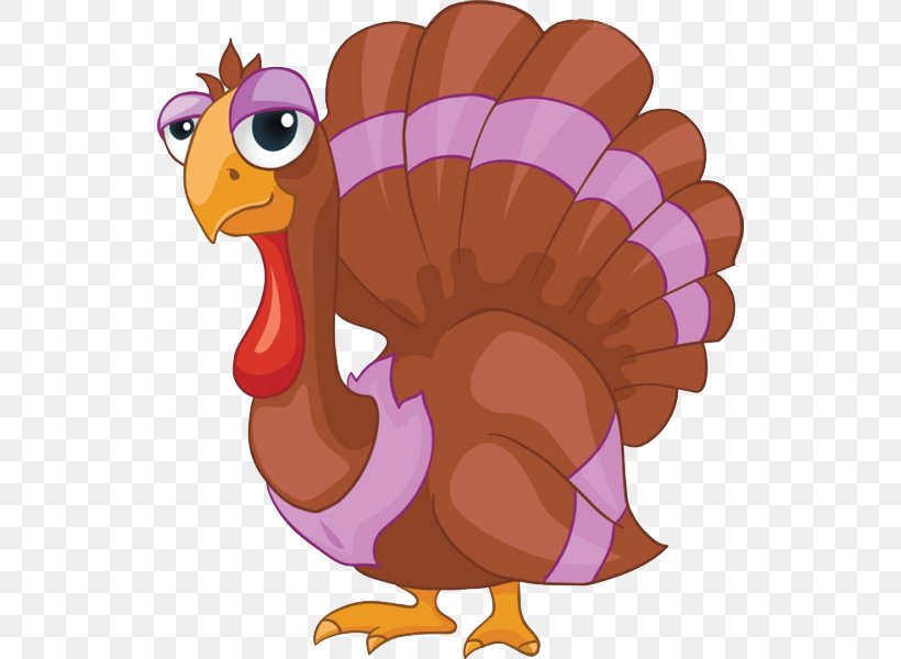 Black Turkey Royalty-free Stock Photography, PNG, 600x600px, Black Turkey, Beak, Bird, Cartoon, Chicken Download Free