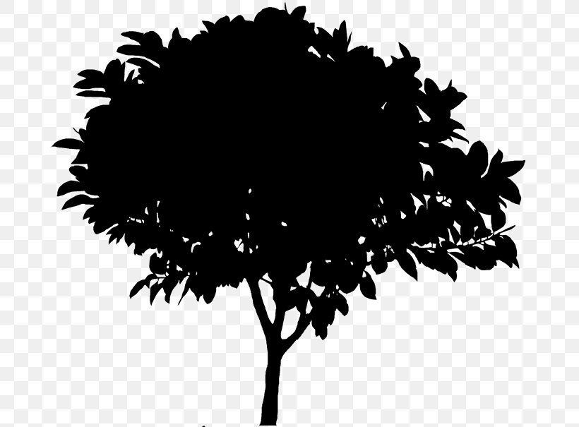 Clip Art Oak Vector Graphics Silhouette Openclipart, PNG, 680x605px, Oak, Art, Black, Blackandwhite, Botany Download Free