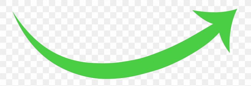 Logo Green Brand Line, PNG, 2440x840px, Logo, Brand, Grass, Green, Leaf Download Free