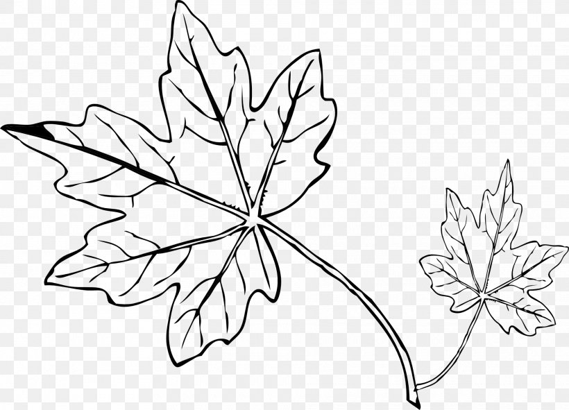 Maple Leaf Autumn Leaf Color Clip Art, PNG, 1920x1385px, Maple Leaf, Artwork, Autumn, Autumn Leaf Color, Black And White Download Free