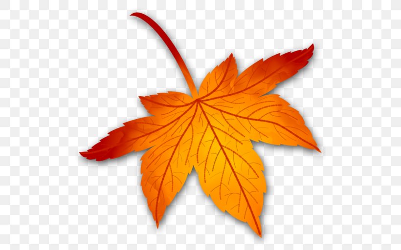 Maple Leaf, PNG, 512x512px, Maple Leaf, Leaf, Maple, Maple Tree, Orange Download Free